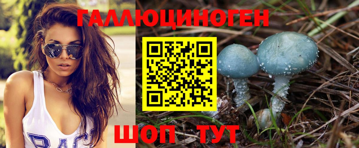 Галлюциногенные грибы Psilocybine cubensis Новочеркасск