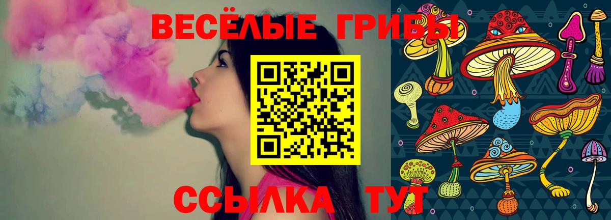 Галлюциногенные грибы GOLDEN TEACHER  Галлюциногенные грибы ЛСД  Вход с VPN  Новочеркасск 